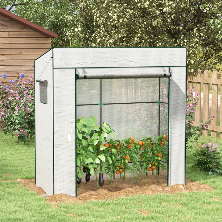 PE Cover Walk-in Outdoor Greenhouse