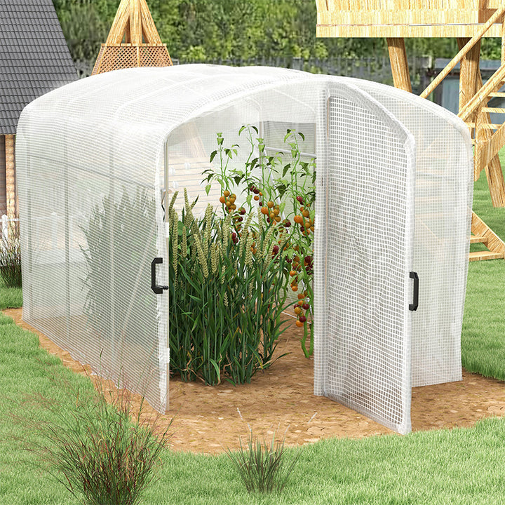 Polytunnel Greenhouse Walk-in Grow House with UV-resistant PE Cover