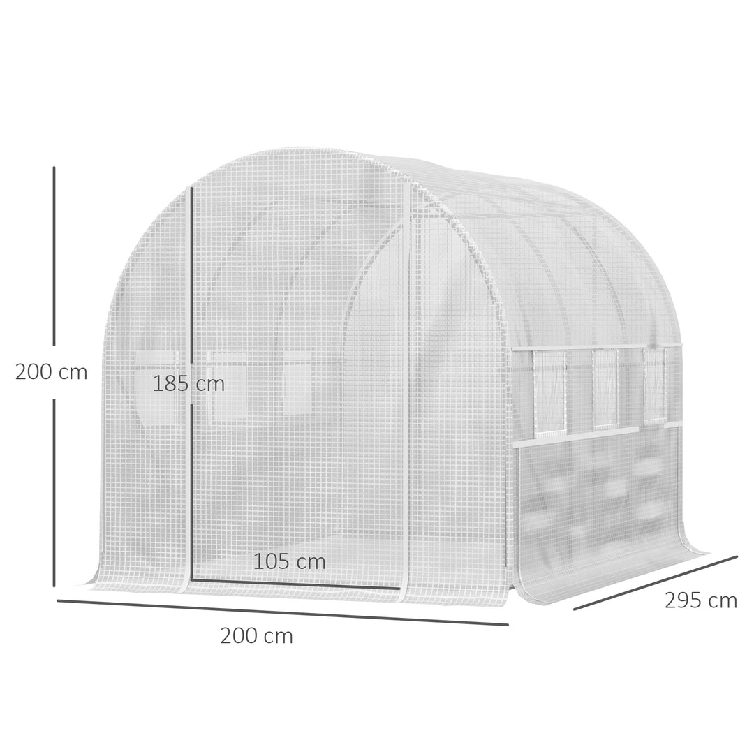 3 x 2 x 2m Walk-in Tunnel Greenhouse