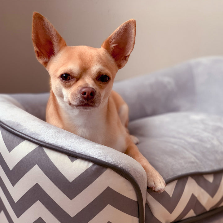 Dog Sofa Pet Couch for XS Dogs w/ Removable Sponge Padded Cushion - Grey