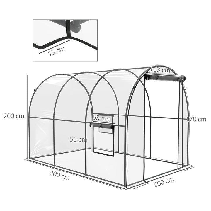 Polytunnel Greenhouse Walk-in Grow House with Plasric Cover