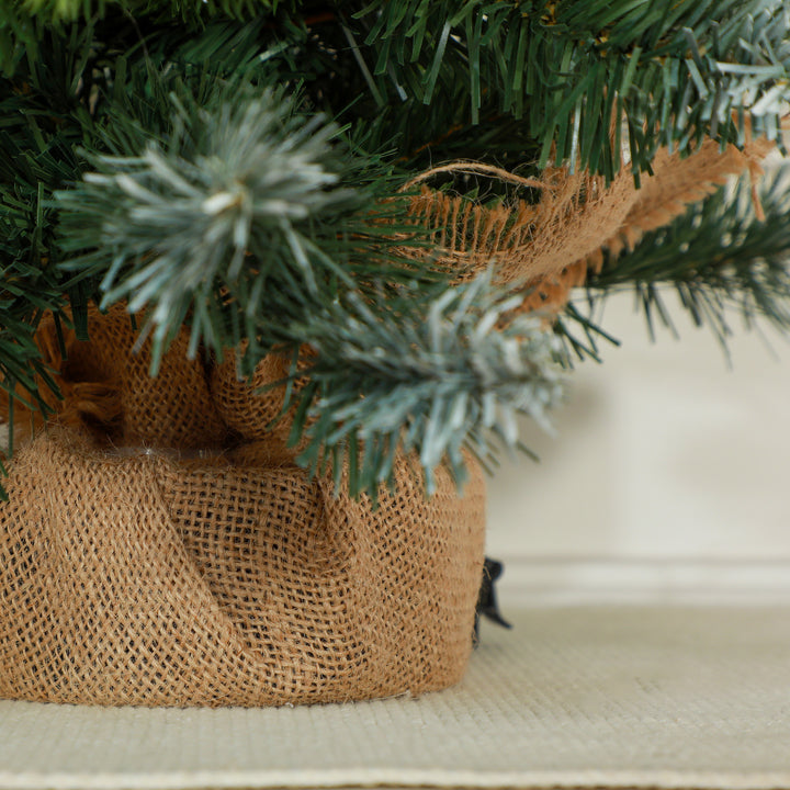 Small Christmas Tree With Lights