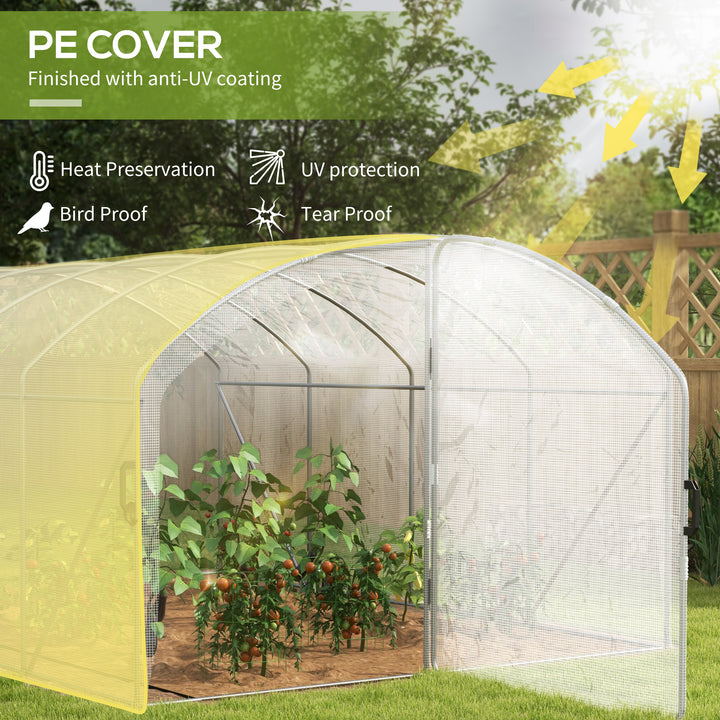 Polytunnel Greenhouse Walk-in Grow House with UV-resistant PE Cover