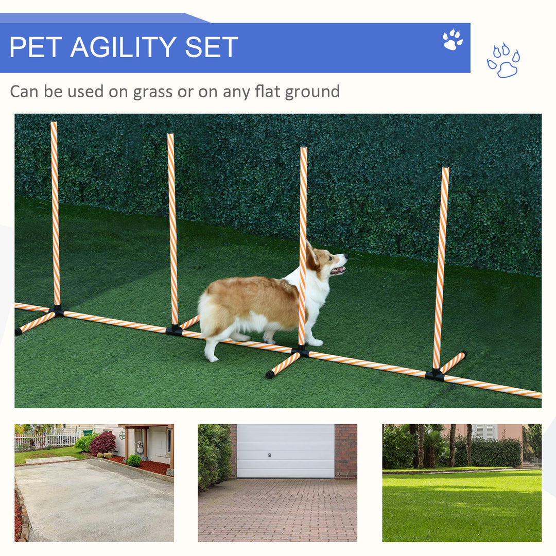 Dog Agility Training Set