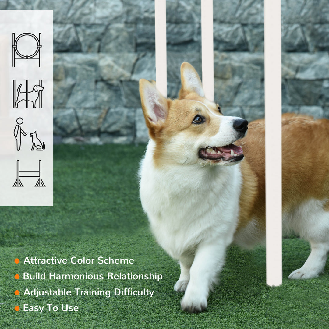 Dog Agility Training Kit with Portable Carry Bag