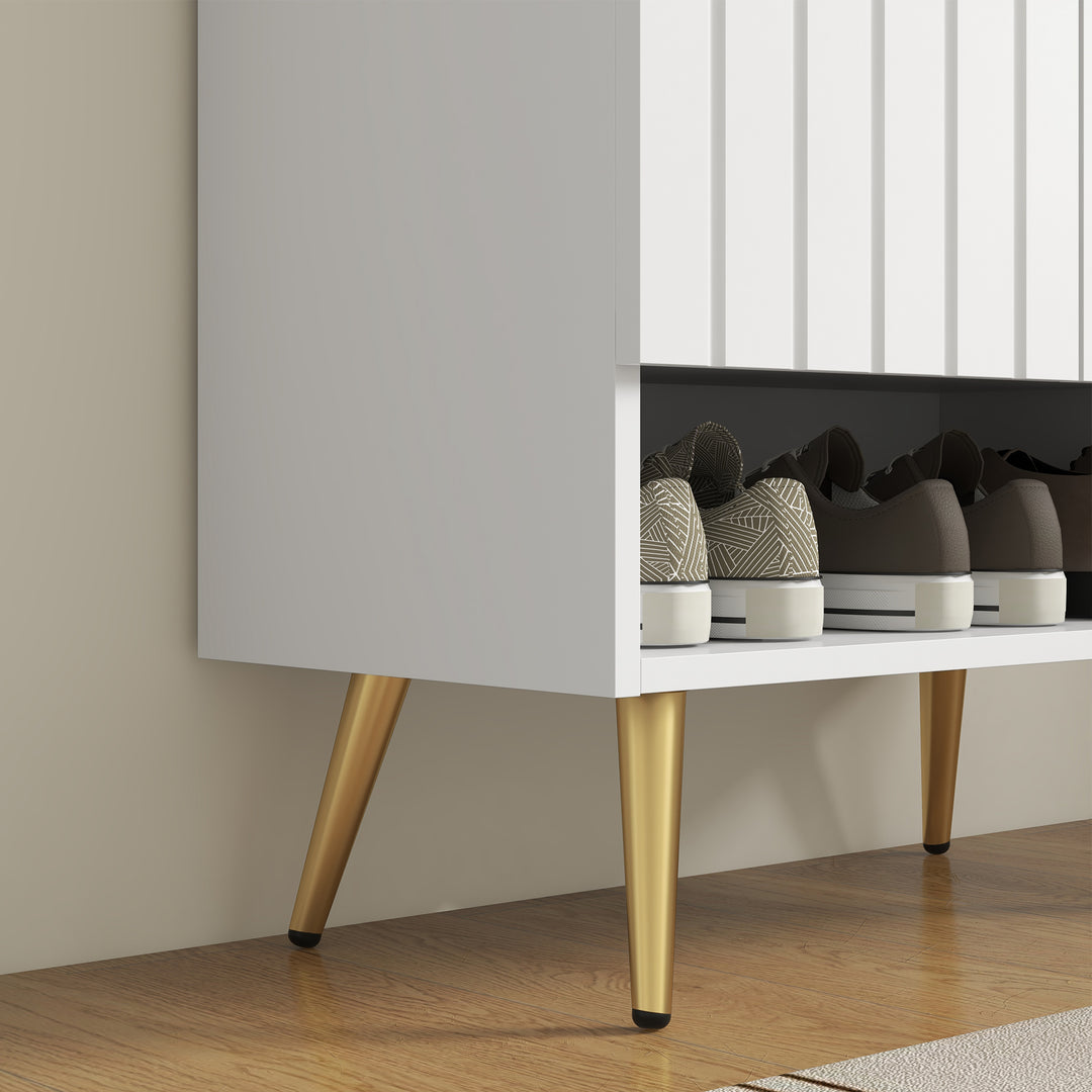 Modern Shoe Cabinet with 2 Doors