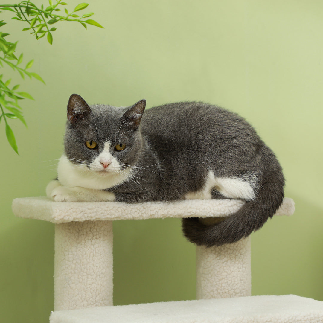 Durable Pet Stairs Ramp