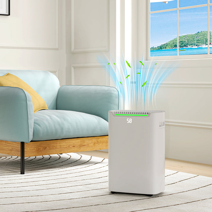 Dehumidifier And Air Purifier 20L/Day with Continuous Drainage