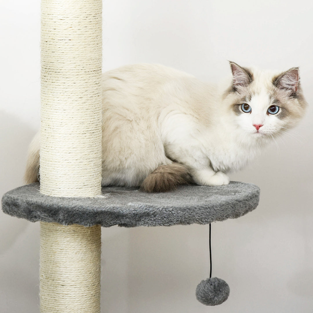 Multi-Level Cat Tree