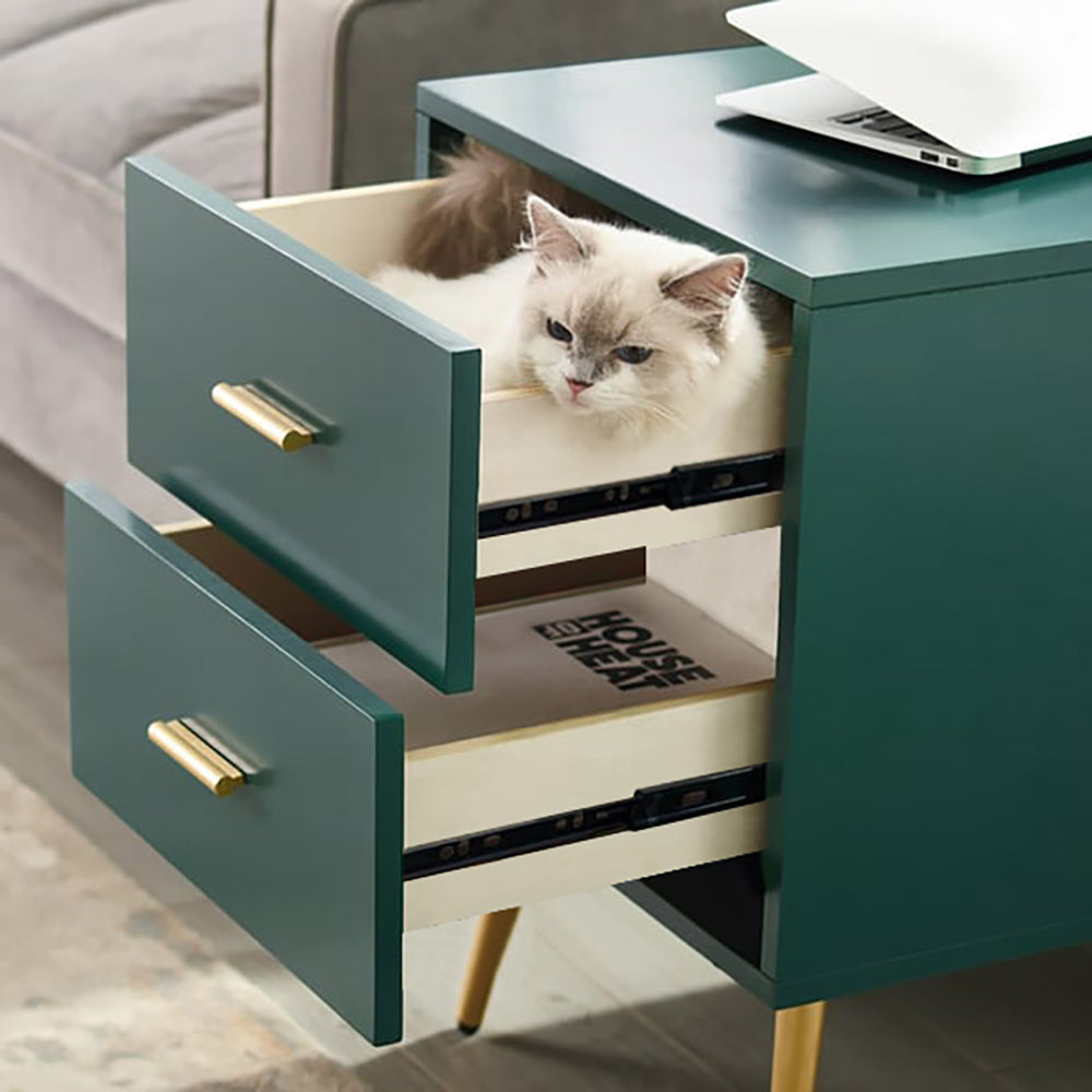 Narre Green End Table with Storage Living Room Side Table 2 Drawer & Open Storage