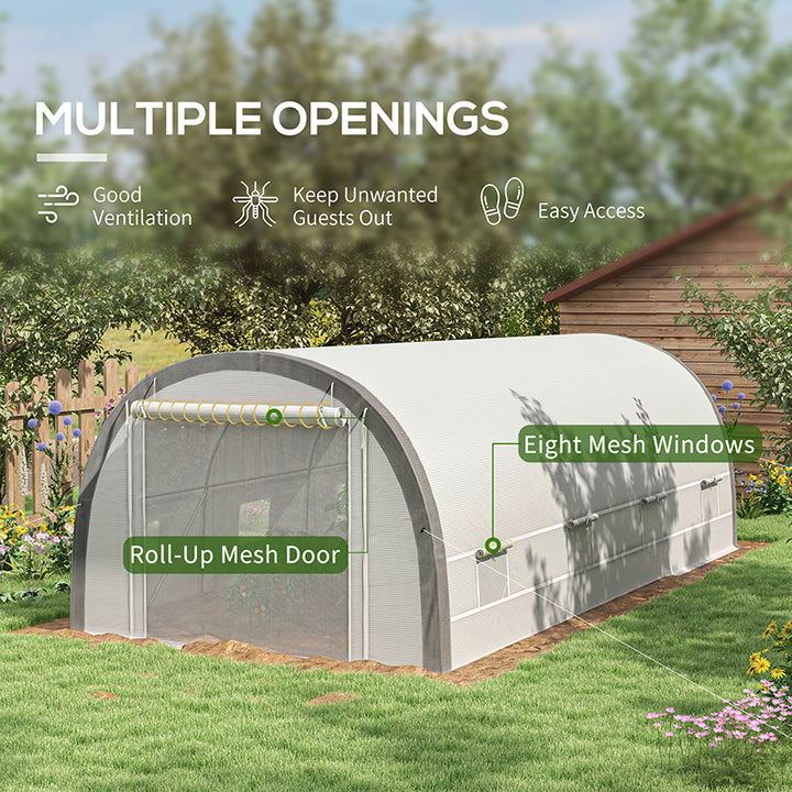 6 x 3(m) Polytunnel Greenhouse with Upgraded Structure