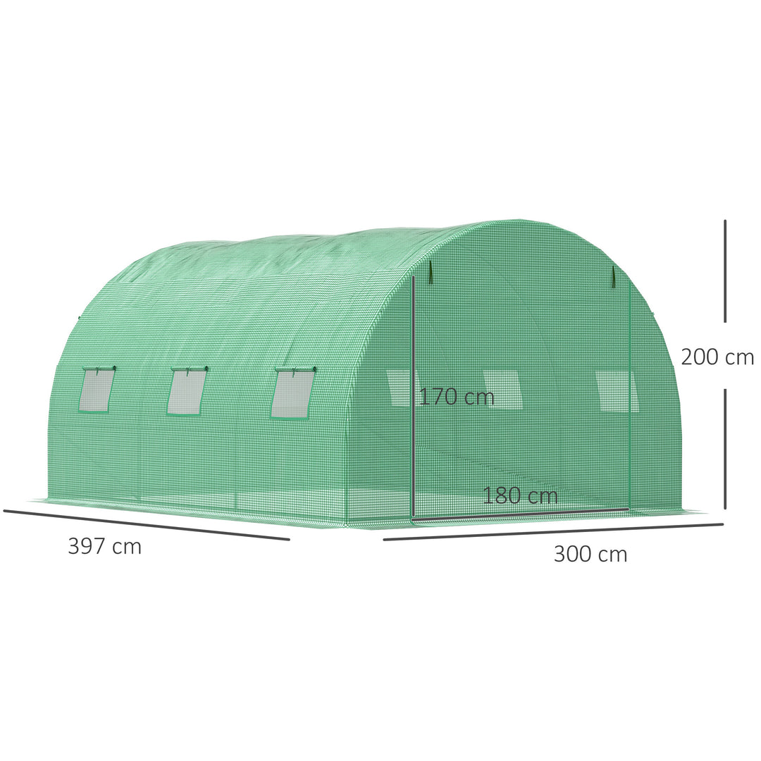 Walk-In Polytunnel Greenhouse