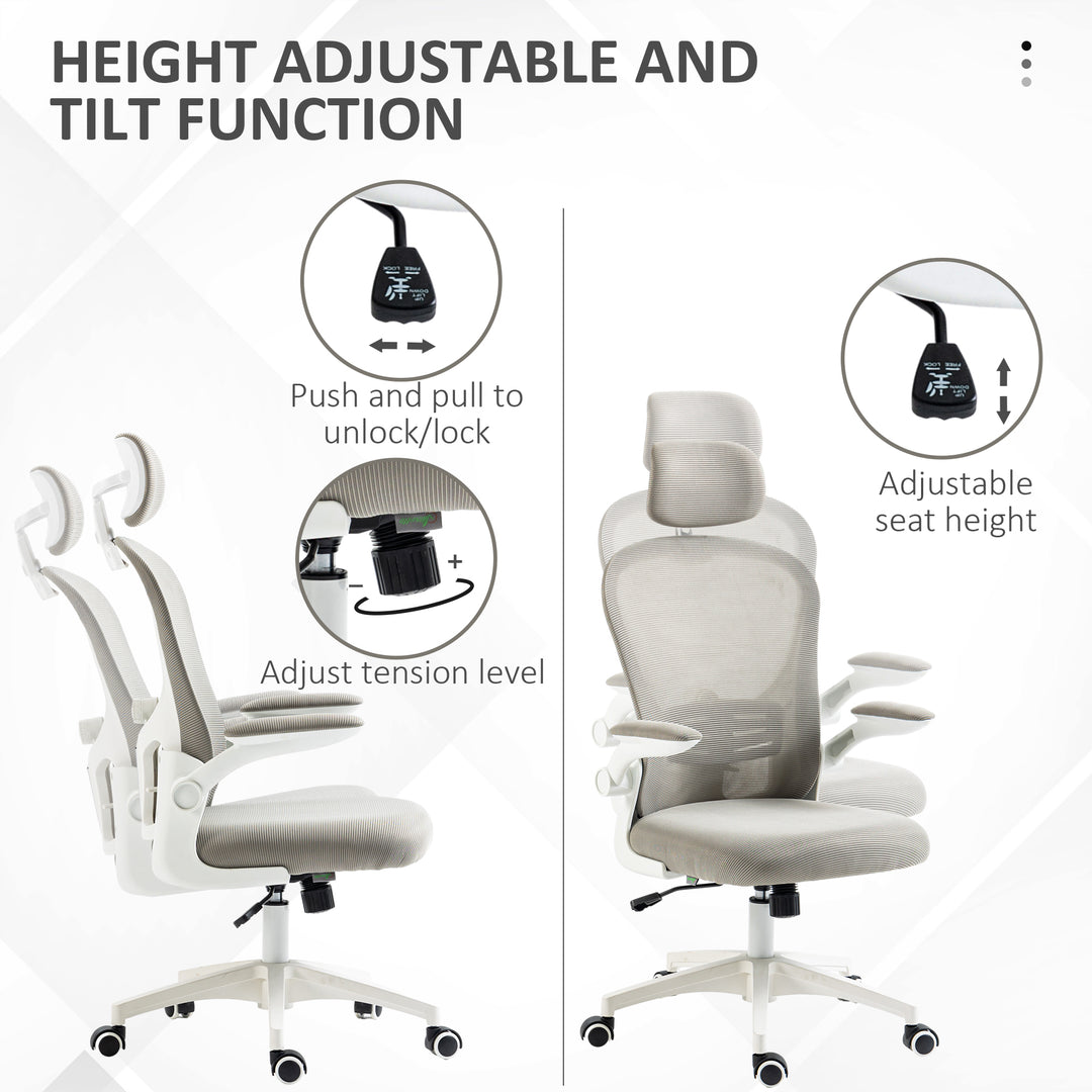 Vinsetto Multi-Adjustable Office Chair, Grey