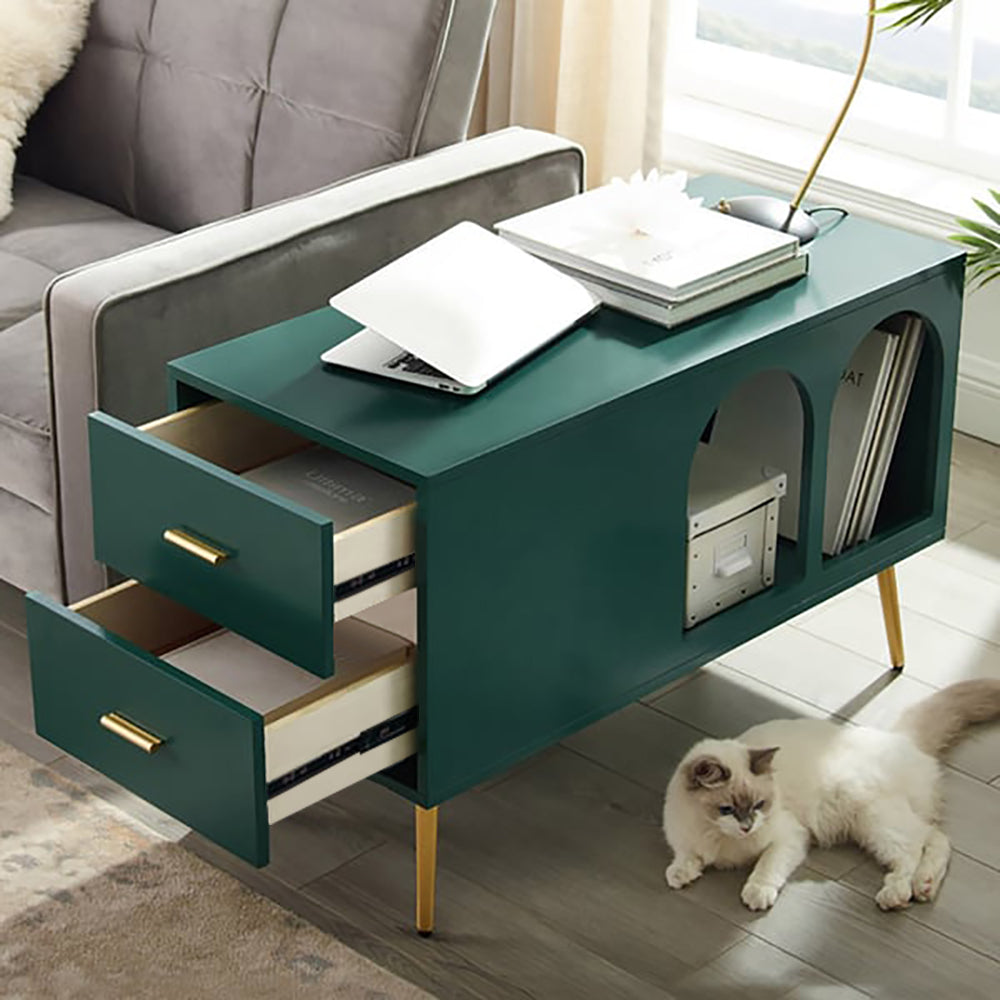 Narre Green End Table with Storage Living Room Side Table 2 Drawer & Open Storage