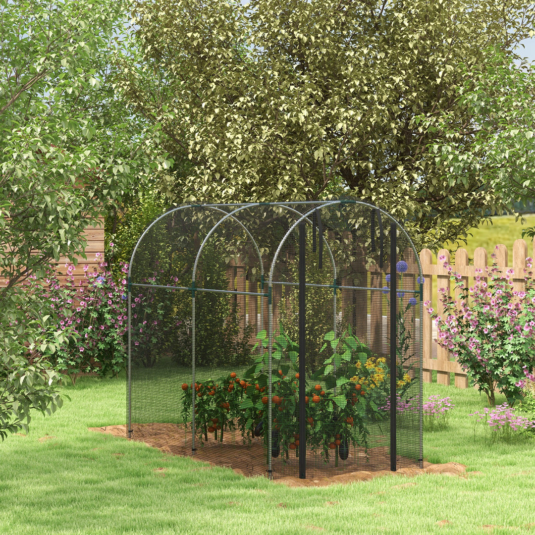 Galvanised Steel Fruit Cage