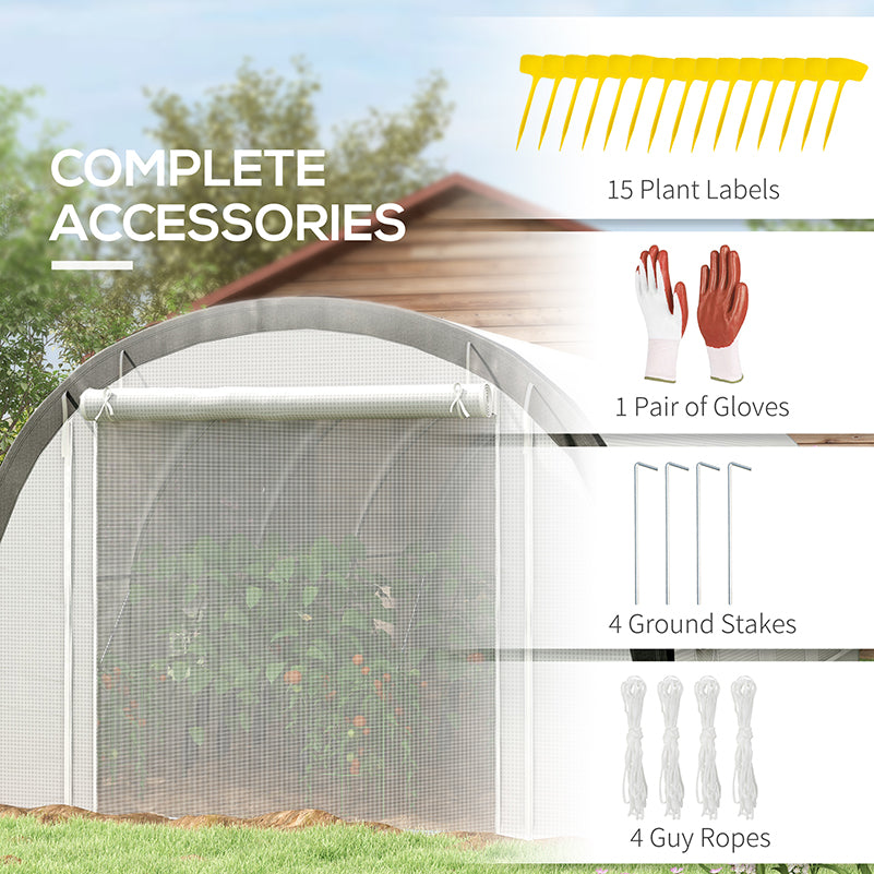 6 x 3(m) Polytunnel Greenhouse with Upgraded Structure