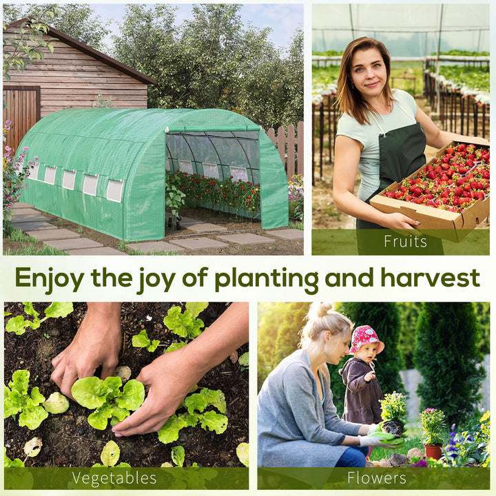 Polytunnel Greenhouse Walk-in Grow House Tent with Roll-up Sidewalls