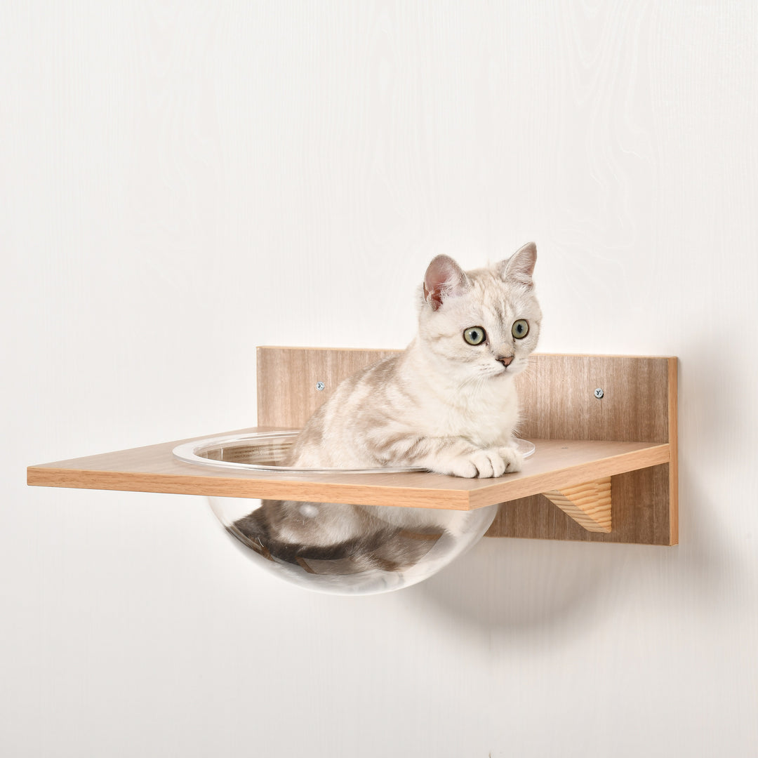 Wall-Mounted Cat Climbing Shelf Set