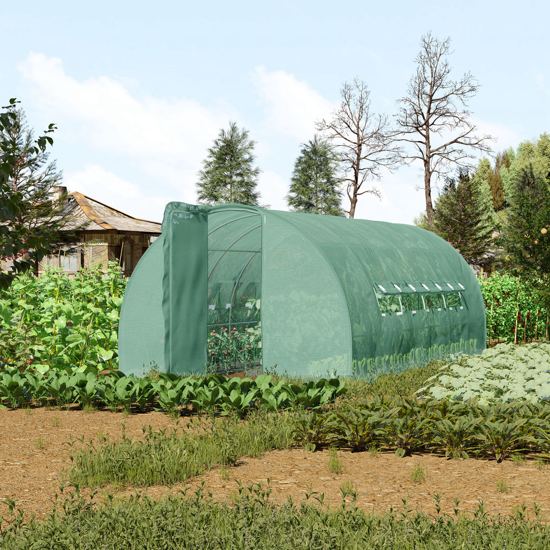 Polytunnel Greenhouse with Metal Hinged Door