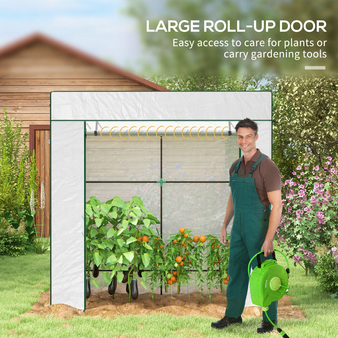 PE Cover Walk-in Outdoor Greenhouse