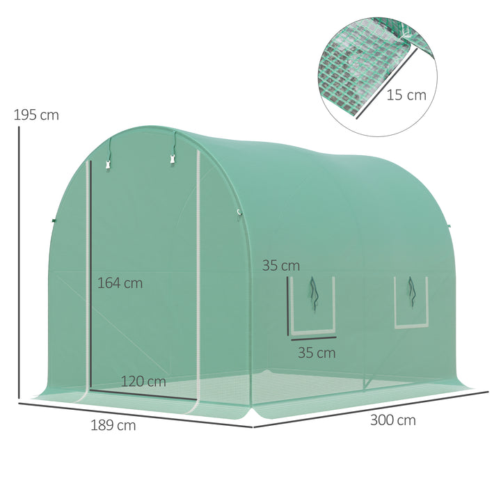 Walk-In Greenhouse: Spacious 3 x 2 M