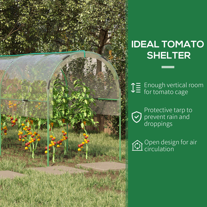 Tunnel Tomato Greenhouse with 4 Hoops and Top Tap