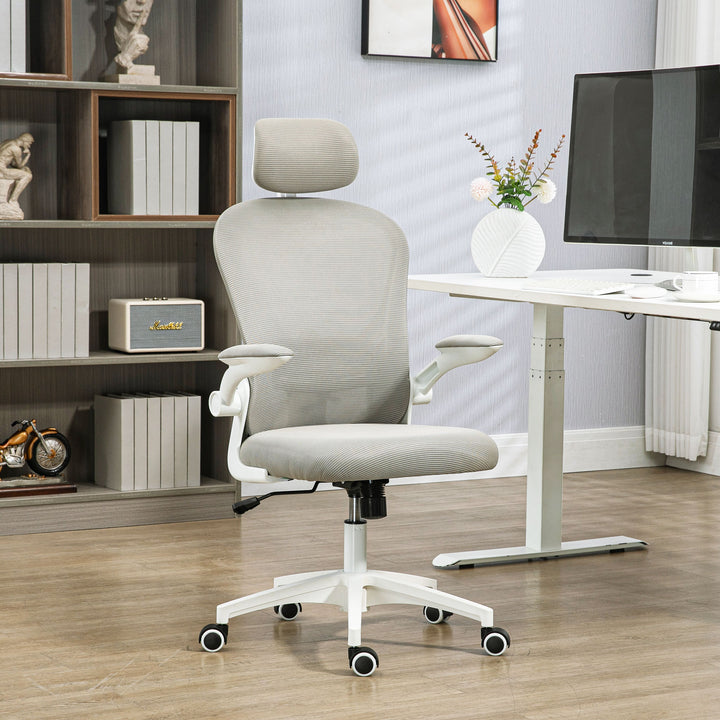 Vinsetto Multi-Adjustable Office Chair, Grey