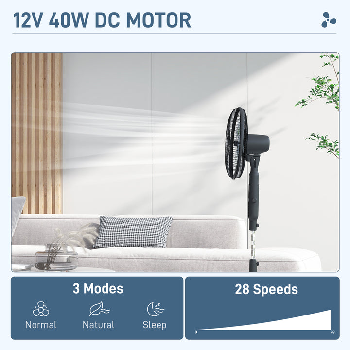 DC Pedestal Fan