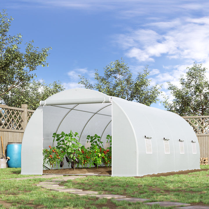 6 x 3 x 2 m Large Walk-In Greenhouse Garden Polytunnel Greenhouse with Metal Frame