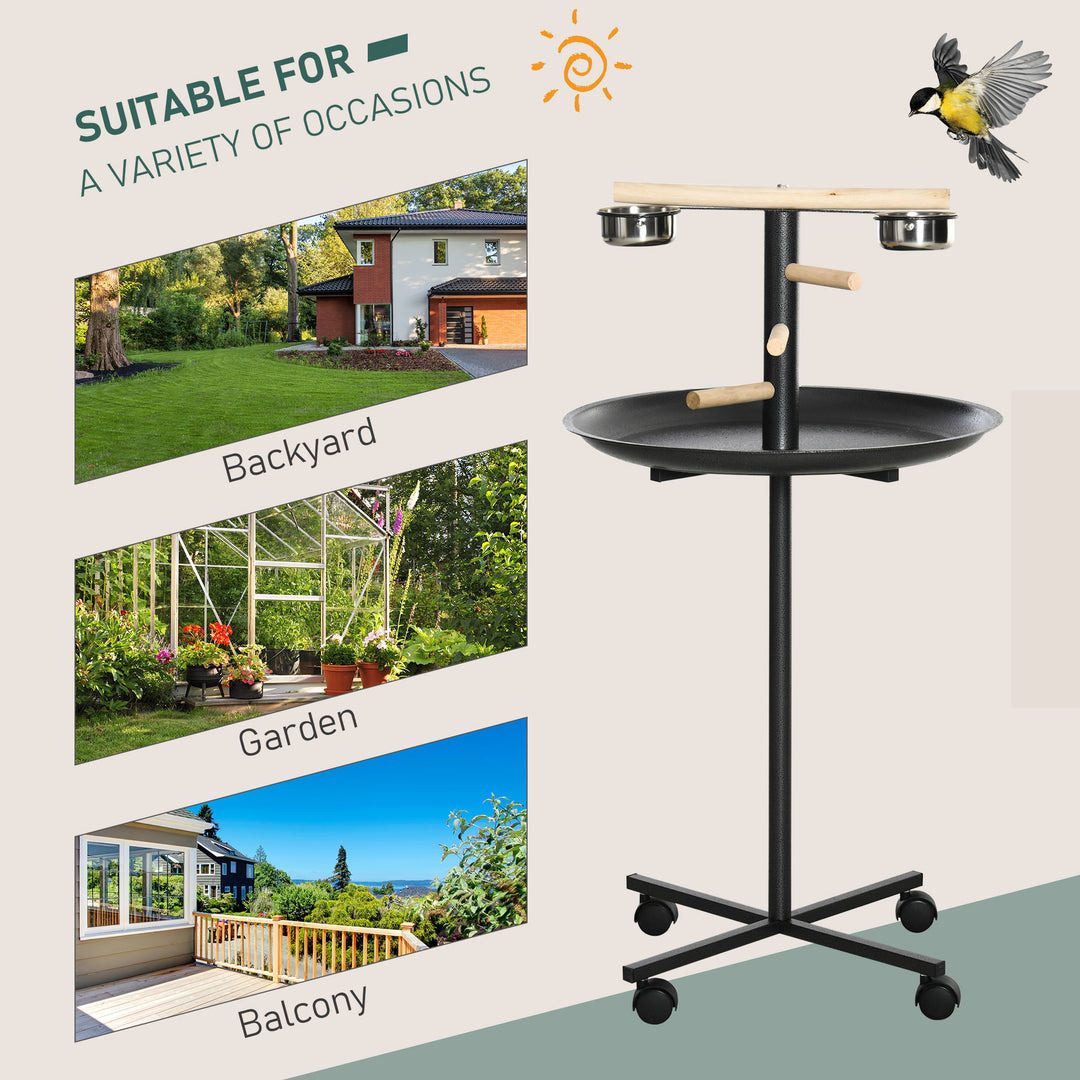 Metal Bird Table Play Stand