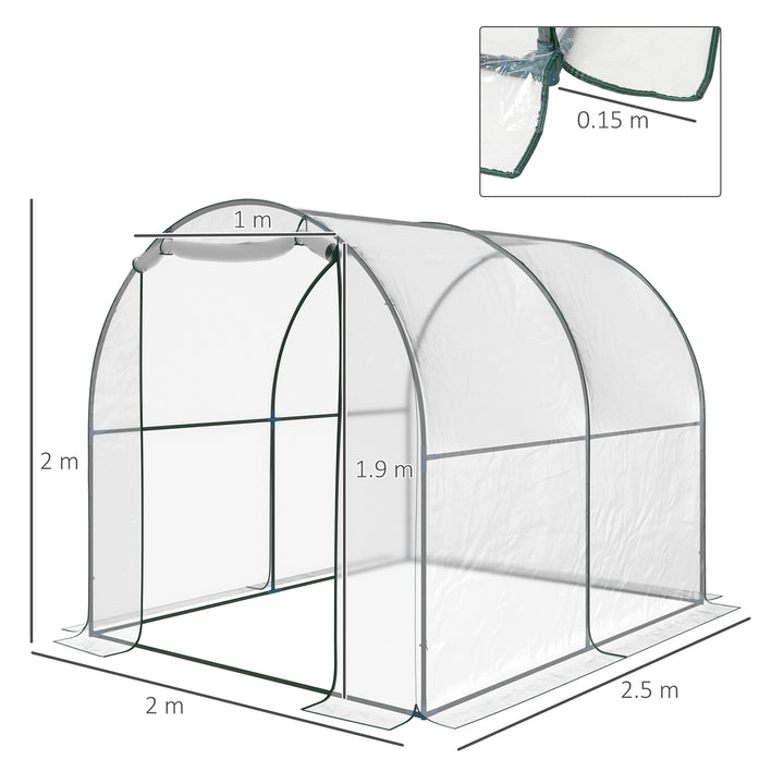 Walk-in Polytunnel Greenhouse with Roll-up Door Transparent Tunnel Greenhouse with Steel Frame and PVC Cover