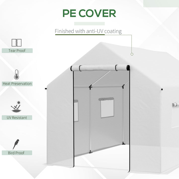 Polyethylene Walk-in Polytunnel Greenhouse