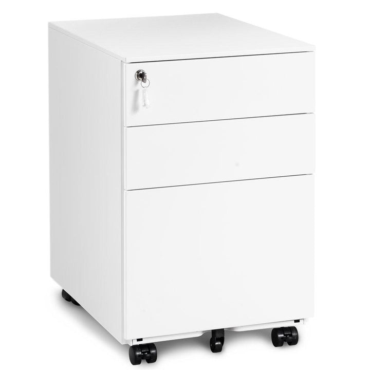 Lockable Mobile File Cabinet with 3 Drawers