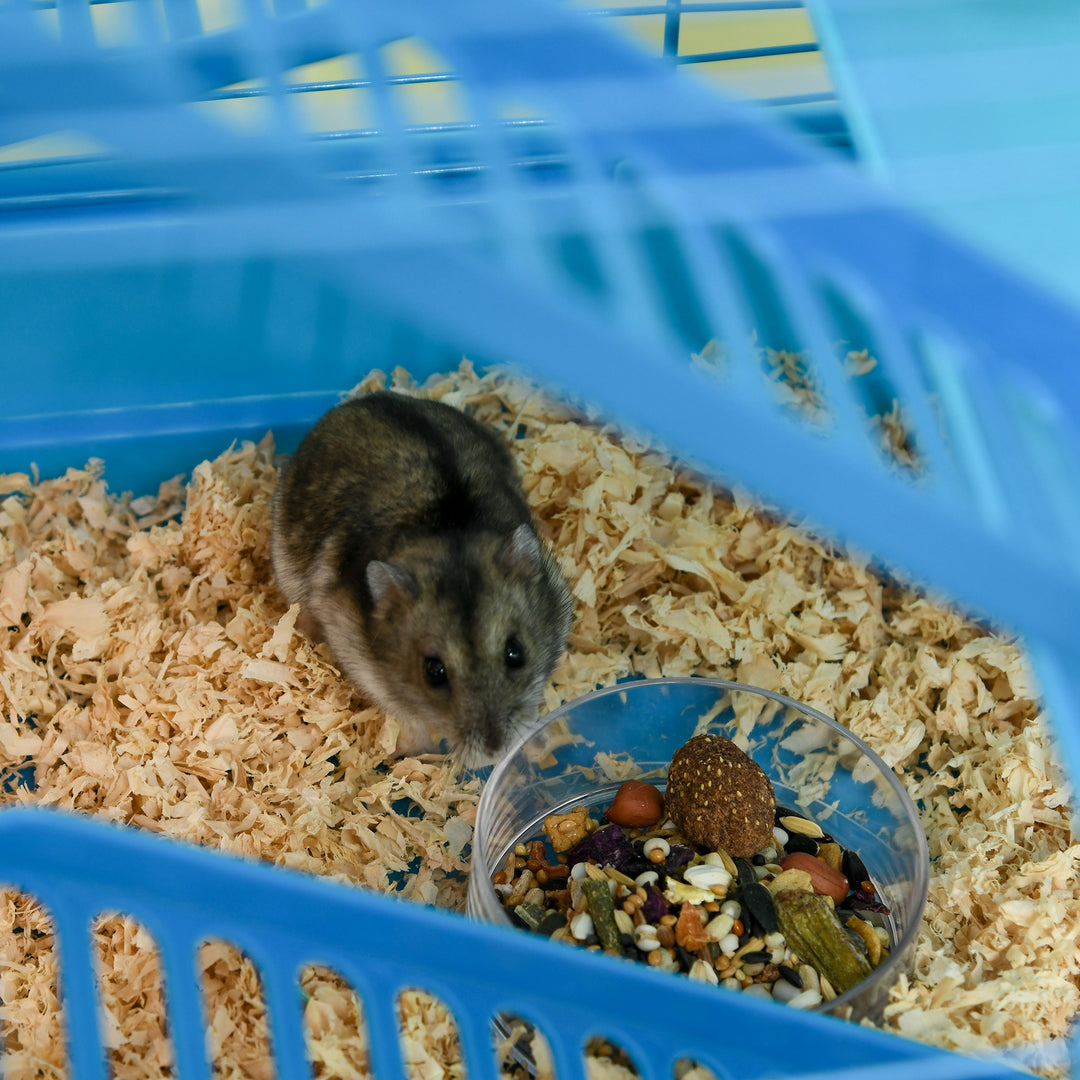 Hamster Habitat