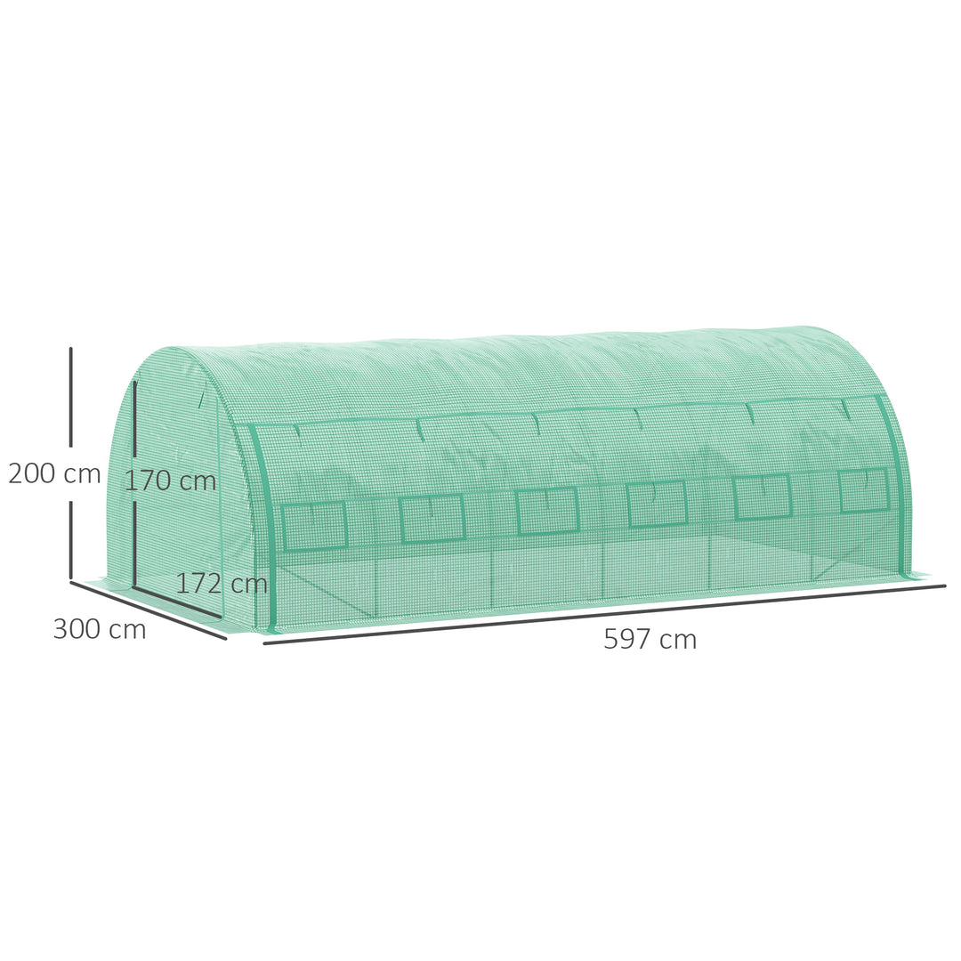 Polytunnel Greenhouse Walk-in Grow House Tent with Roll-up Sidewalls