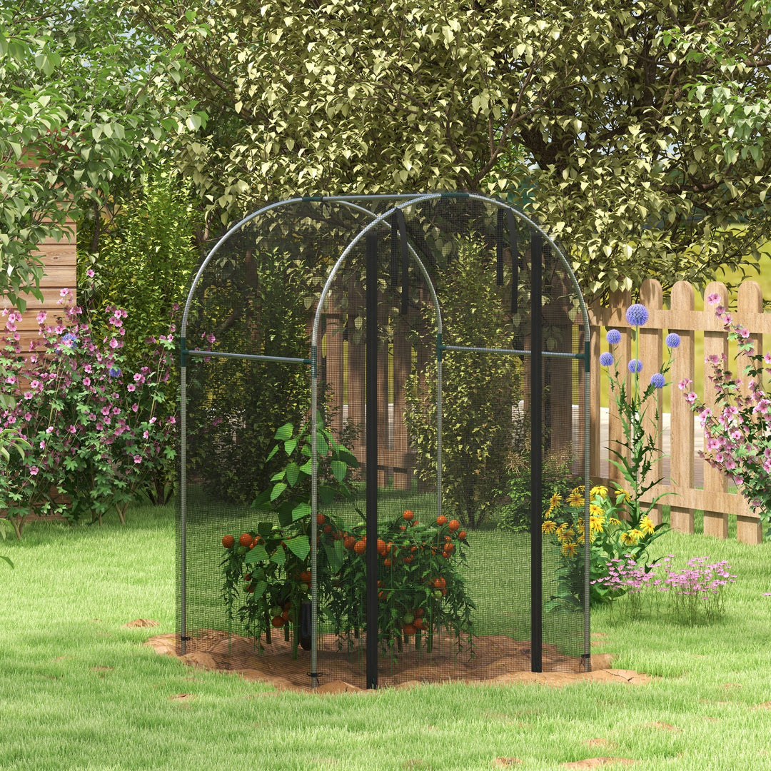 Galvanised Steel Fruit Cage