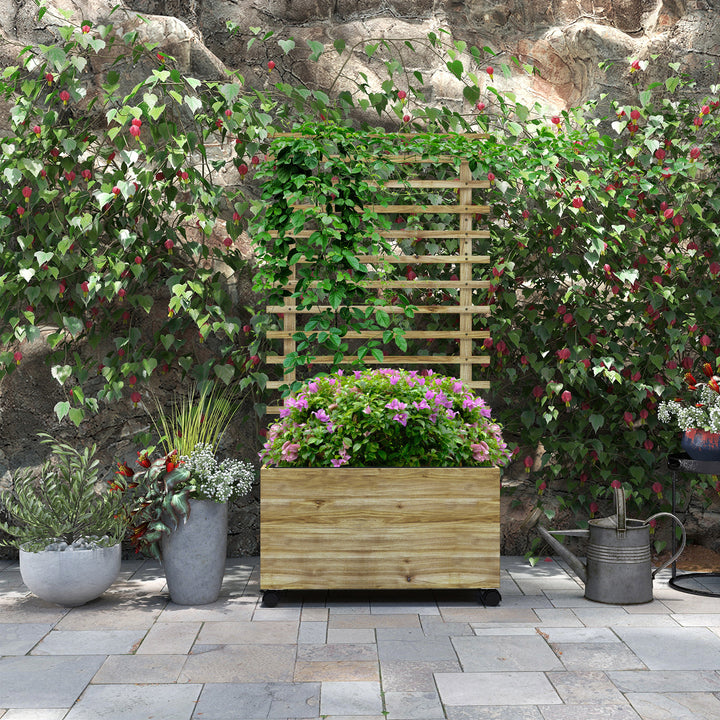 Wooden Garden Raised Bed with Trellis