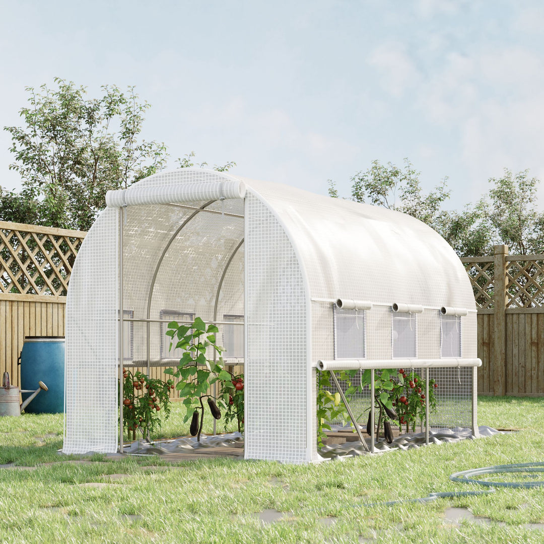 3 x 2 x 2m Walk-in Tunnel Greenhouse