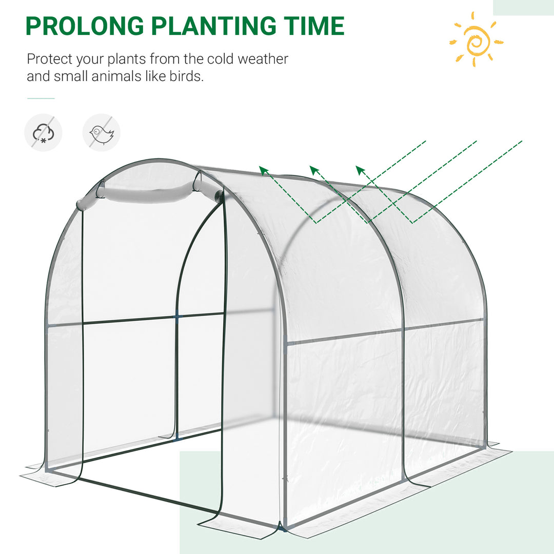 Walk-in Polytunnel Greenhouse with Roll-up Door Transparent Tunnel Greenhouse with Steel Frame and PVC Cover