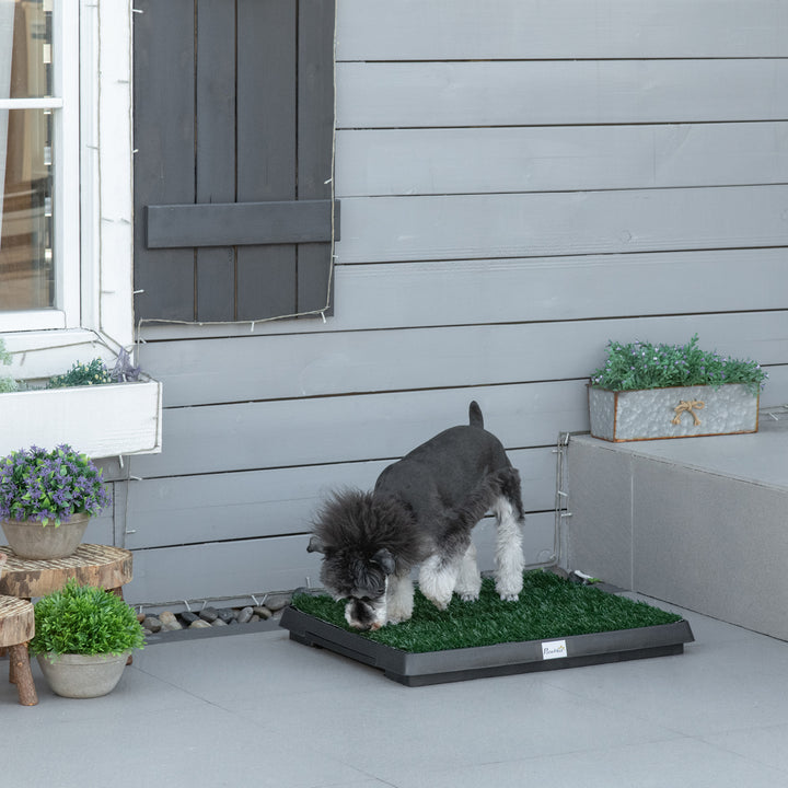 Indoor Pet Toilet Training Mat