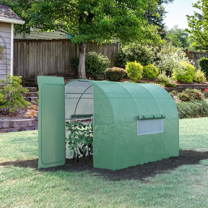 Large Walk-In Greenhouse