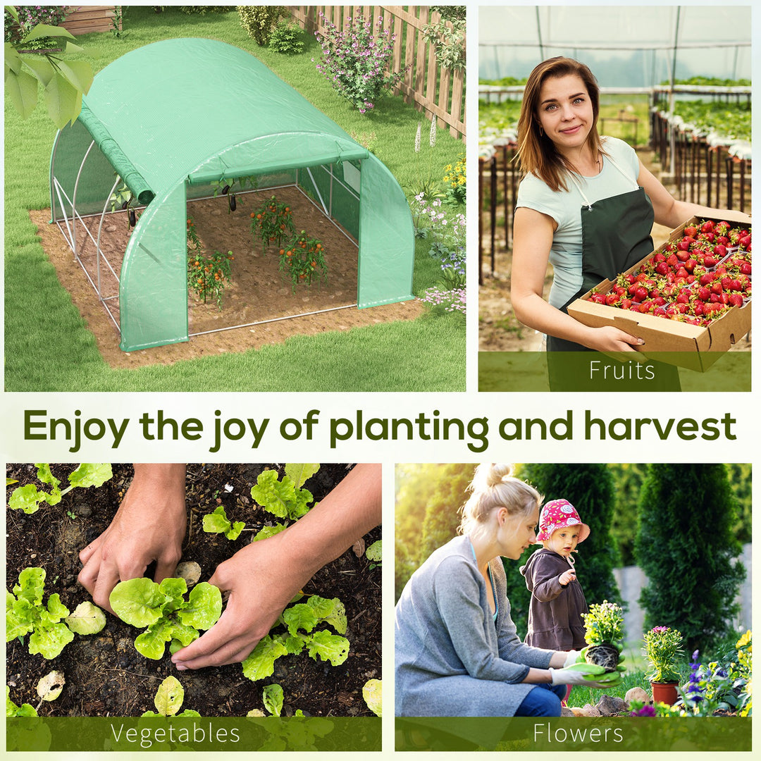 Walk-in Polytunnel Greenhouse: With Roll-up Sidewalls