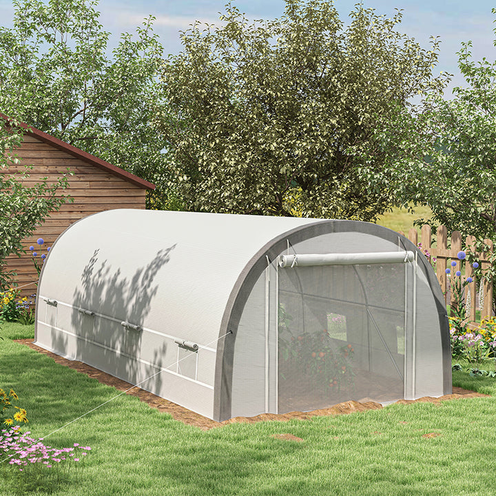 6 x 3(m) Polytunnel Greenhouse with Upgraded Structure