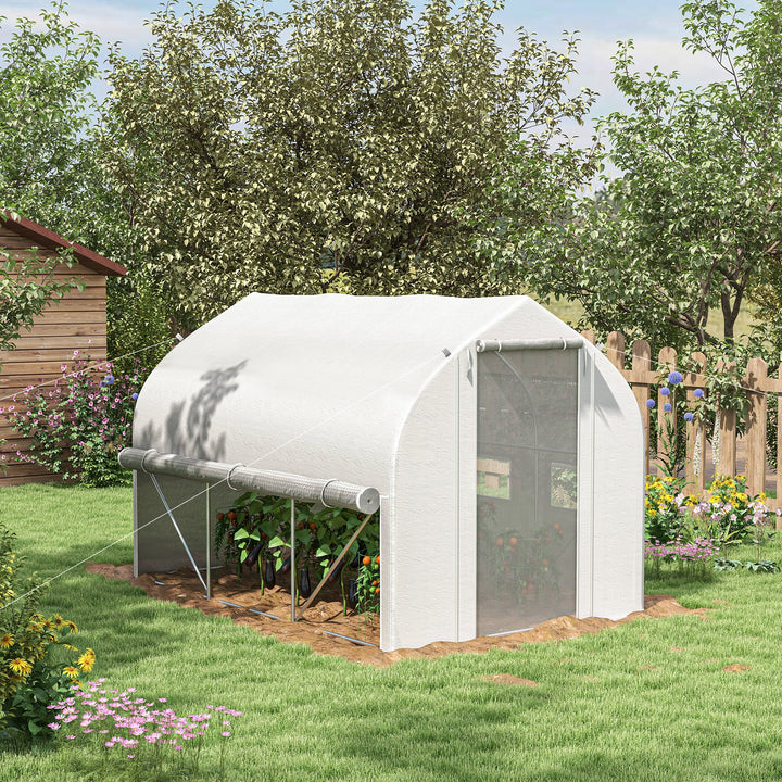 3 x 2m Walk-in Polytunnel Greenhouse