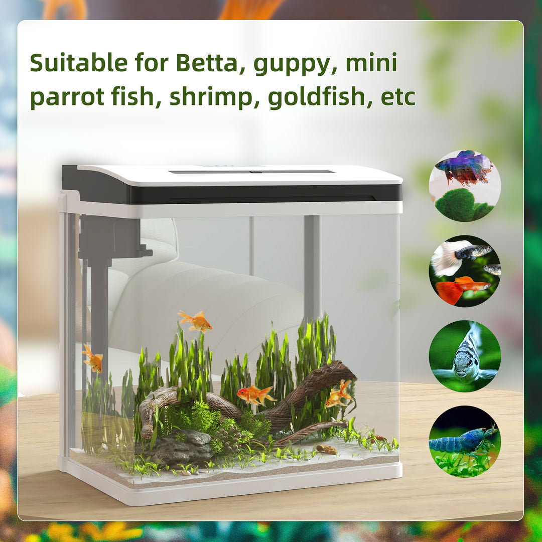 13L Glass Aquarium Fish Tank with Filter