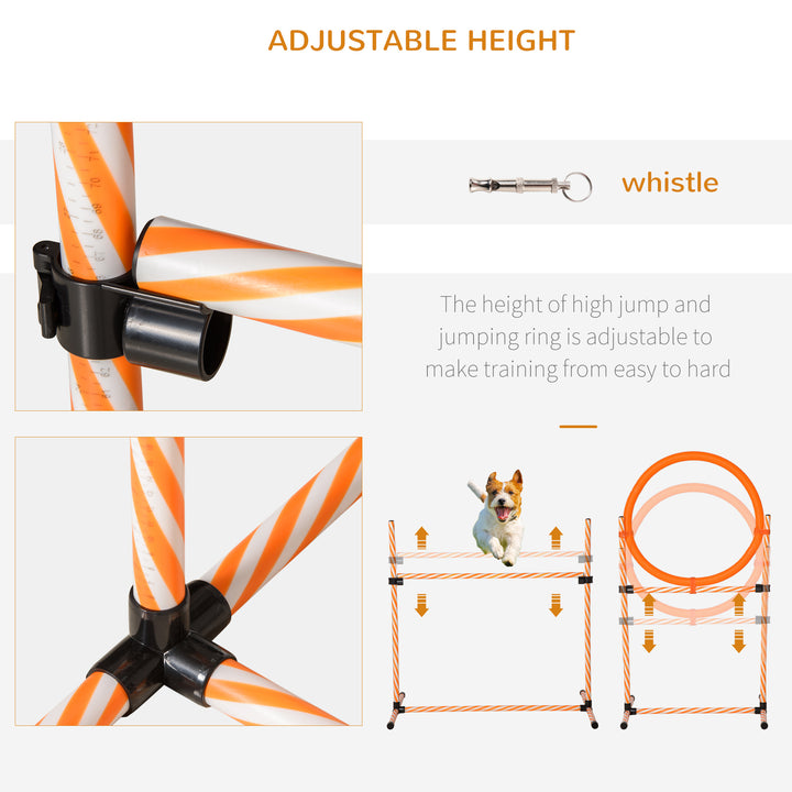 Dog Agility Training Kit