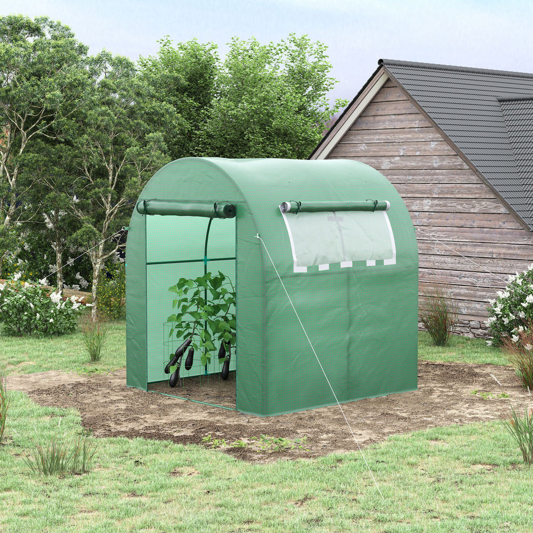 Walk in Polytunnel Greenhouse