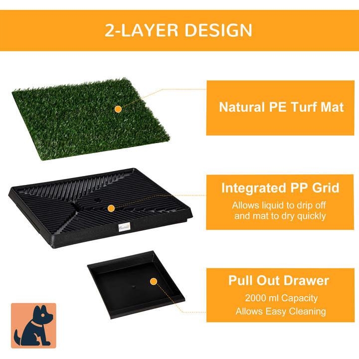 Indoor Pet Toilet Training Mat