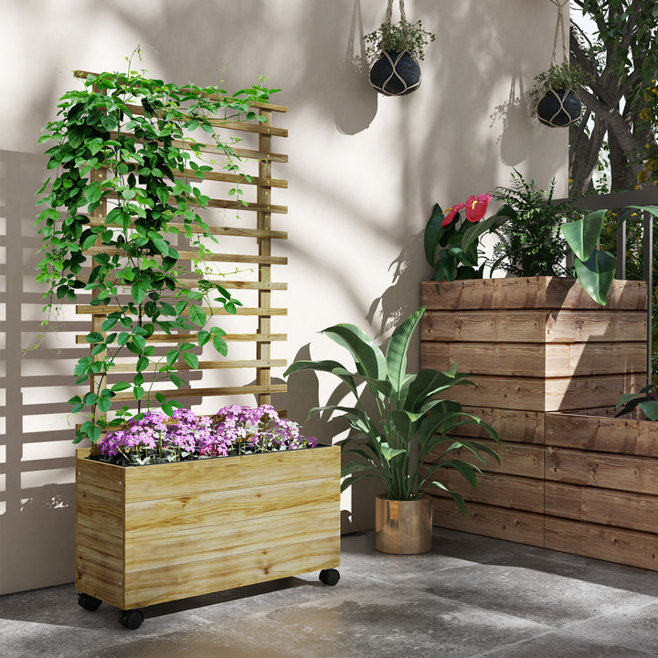 Wooden Garden Raised Bed with Trellis