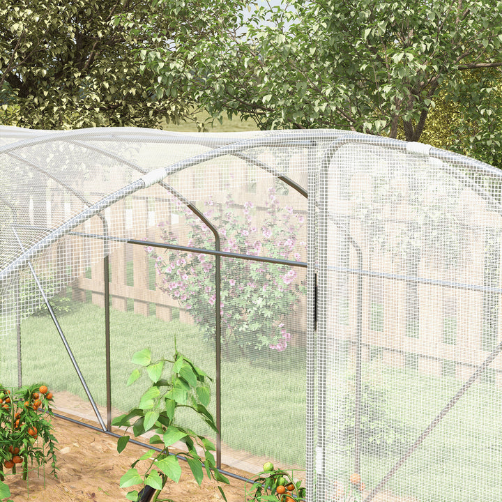 Polytunnel Greenhouse Walk-in Grow House with UV-resistant PE Cover